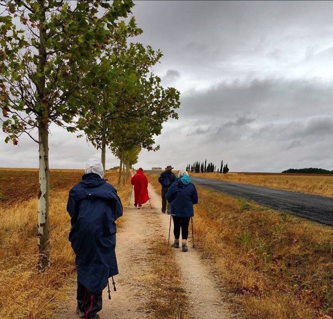 Where Will I be in My Camino Once I Walk 1 Million Steps?